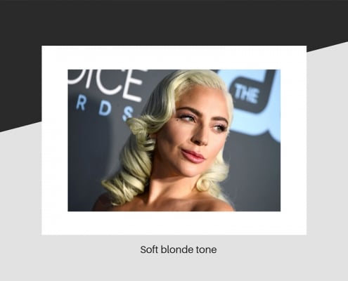 Lady Gaga's soft blonde hair tone