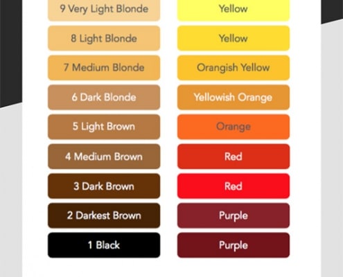Hair colour level chart