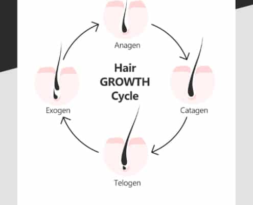 The Hair growth cycle