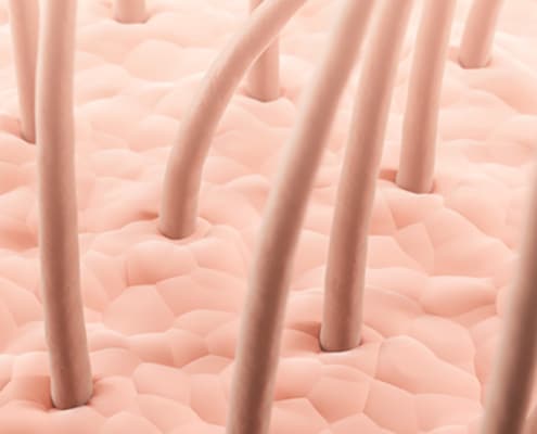 Close up showing a healthy scalp without a skin condition