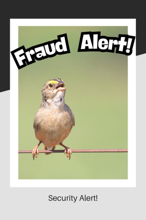 Security alert for fraudulent transactions at hair salons