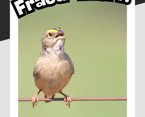 Security alert for fraudulent transactions at hair salons