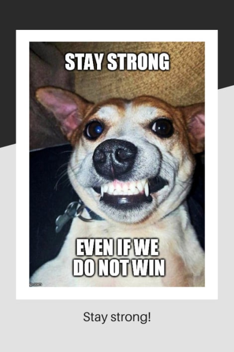 Stay strong in adversity meme