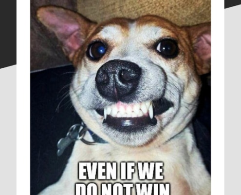 Stay strong in adversity meme