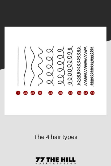 The 4 hair types diagram with further sub-categories