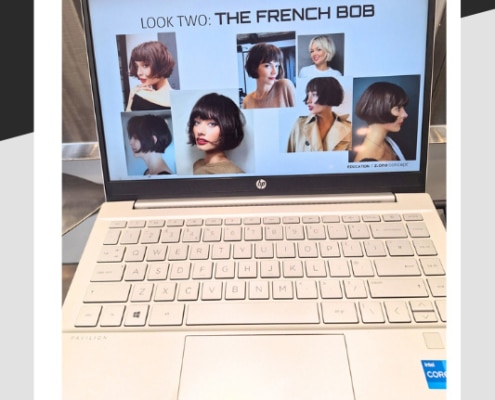 Pictures of The French Bob on a computer