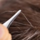 Hair Myths - The truth versus reality